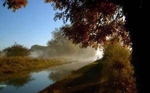 autumn, fall, landscape, nature, grass, shropshire union canal, little stanney cheshire, canal, october, november, river