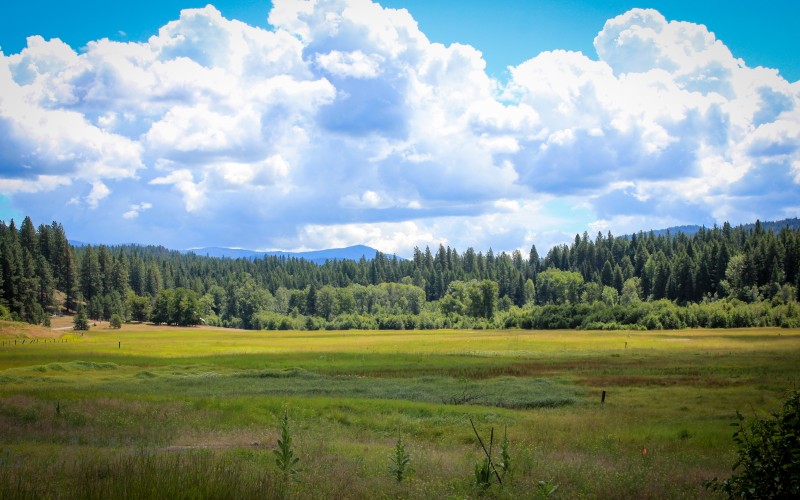 landscape, trees, nature, forest, grass, wilderness, mountains, clouds, sky, fields, meadows, prairie, valleys, rural, pasture, grassland, wildlife