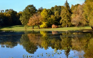 landscape, nature, garden, autumn, fall, lake, trees, grass