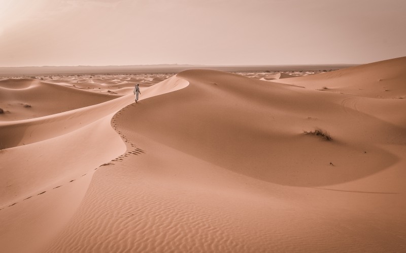 landscape, sand, desert, dunes, dry, morocco, sahara, wadi, landform, nature