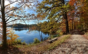 landscape, nature, autumn, fall, lake, forest, woods, trees, bench, bank, path, road, sunny