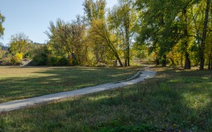 park, autumn, fall, nature, landscape, trees, grass, path, trail, bushes