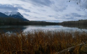 autumn, fall, ross lake, british columbia, canada, nature, landscape