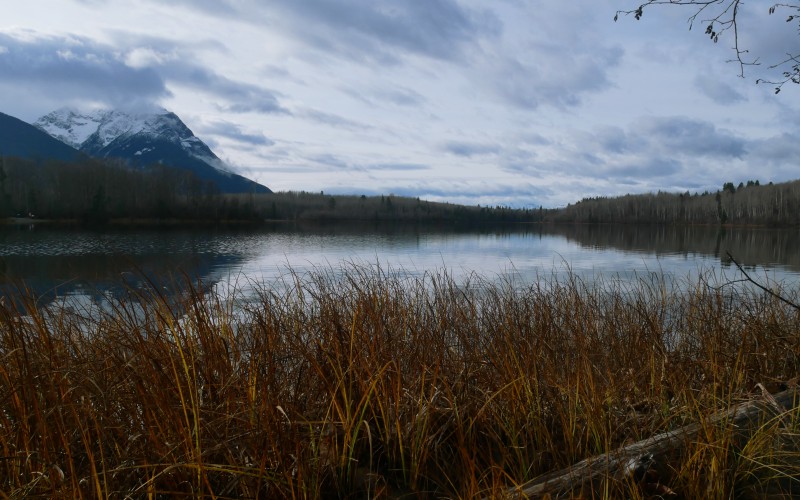 autumn, fall, ross lake, british columbia, canada, nature, landscape