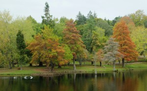 autumn, fall, park, trees, mclaren falls park, seasons, nature, landscape, lake, pond