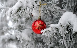 christmas, xmas, new year, holidays, christmas tree, snow, christmas ornament, twig, branches, christmas decorations, winter, frost, fir, spruce, pine