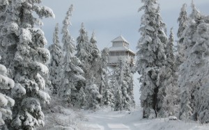 winter, forest, warner mountain, lookout tower, willamette national forest, nature, snow, frost, frozen, hoarfrost