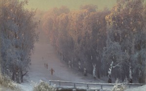 arseny meshchersky, winter, evening, forest, painting, oil, canvas, art, snow, landscape, cold, bridge