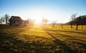 landscape, trees, nature, grass, horizon, sky, sunrise, field, farm, meadow, prairie, countryside, sunlight, morning, barn, dawn, shed, shack, scenic, cabin, autumn, season, fields, grassland, quiet, rural