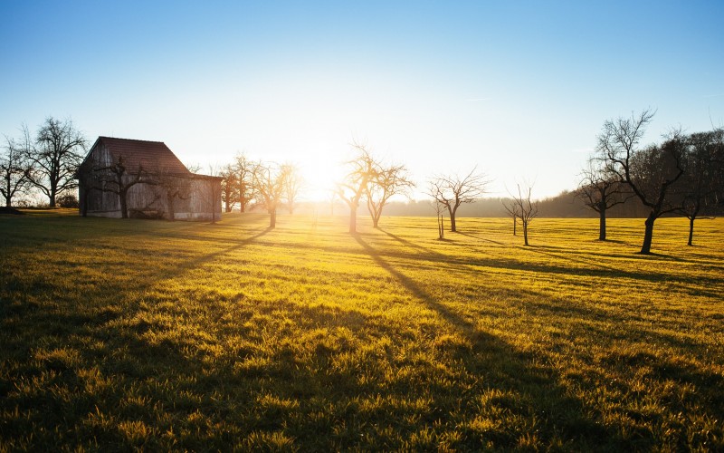 landscape, trees, nature, grass, horizon, sky, sunrise, field, farm, meadow, prairie, countryside, sunlight, morning, barn, dawn, shed, shack, scenic, cabin, autumn, season, fields, grassland, quiet, rural