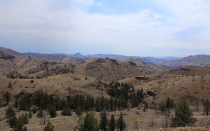 spring, wilderness, nature, landscape, oregon, hills, mountains, desert