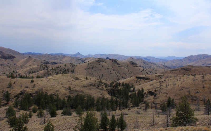 spring, wilderness, nature, landscape, oregon, hills, mountains, desert