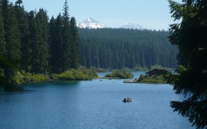 clear lake, willamette national forest, lake, nature, landscape, forest, cabin, house, 
