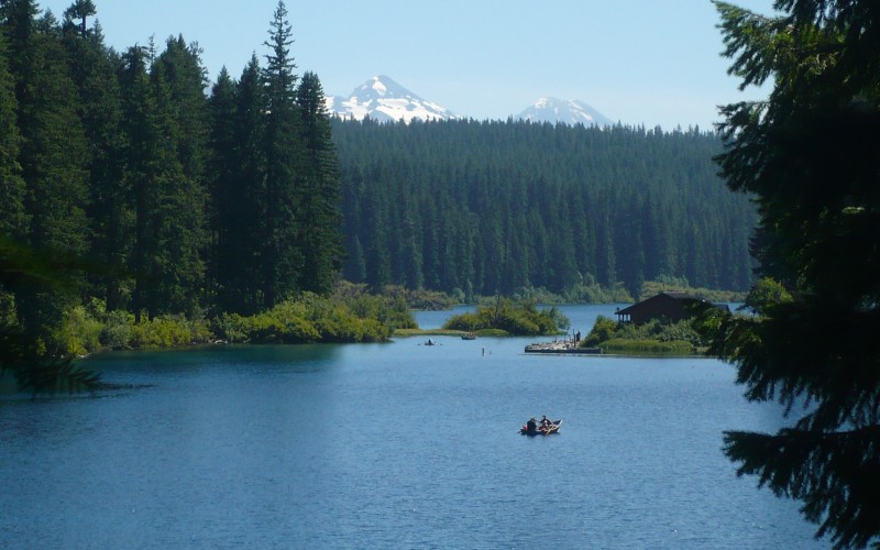 clear lake, willamette national forest, lake, nature, landscape, forest, cabin, house,
