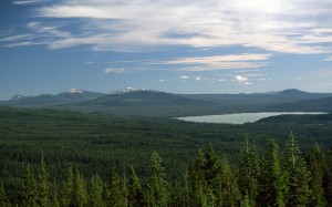 национальный лес ампкуа, озеро, природа, пейзаж, лес, вечнозеленые деревья, берег, деревья