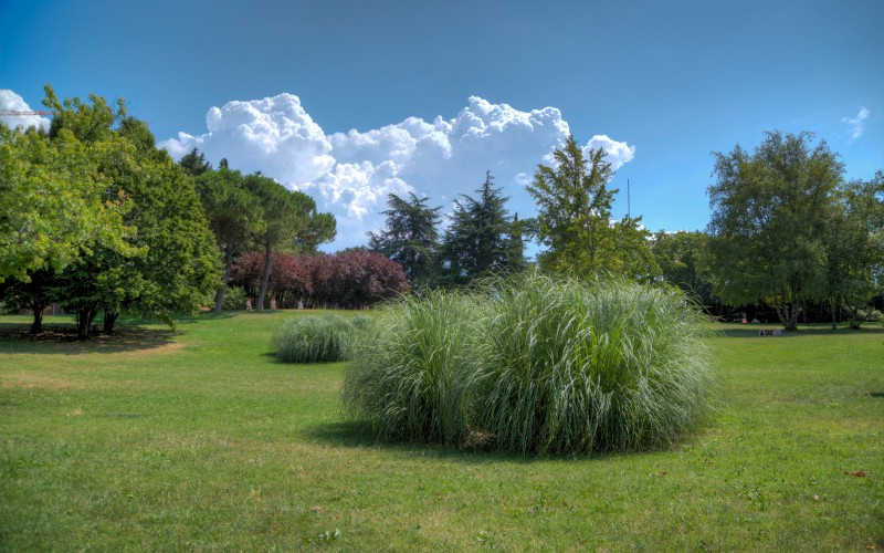 park, trees, park, landscape, scenery, sunny, italy, summer, nature, grass, bushes