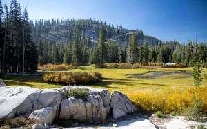 trees, summer, nature, landscape, piute lake, united states, usa, amerika, forest, lake, rocks, stones, mountains
